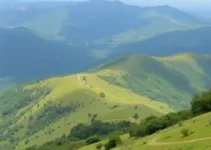 cursinhos em Serra