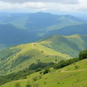 cursinhos em Serra