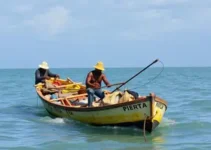 benefício para pescadores