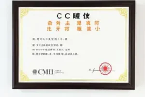 CCMEI