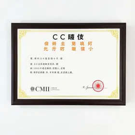 CCMEI