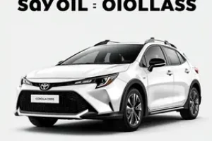 queima do Corolla Cross