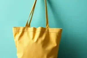 Bolsa Família