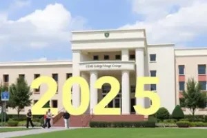 Vestibular UEMS 2025