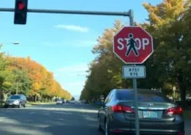 motoristas devem dar passagem aos pedestres