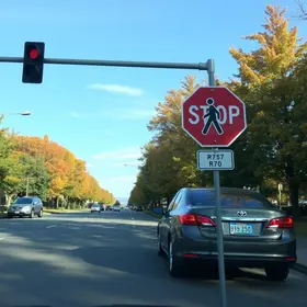 motoristas devem dar passagem aos pedestres