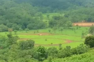 vagas abertas Agro Amazônia