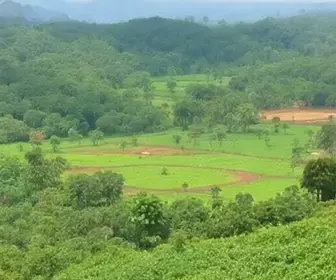 vagas abertas Agro Amazônia