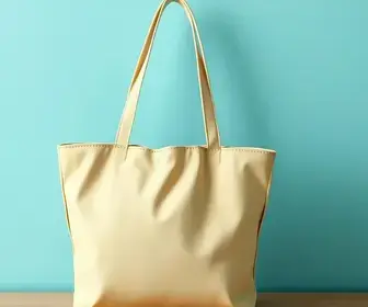 Bolsa Família