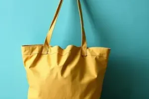 Bolsa Família