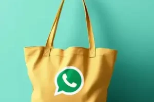Bolsa Família tarfia social de água
