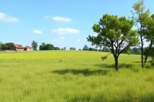 Compromisso de Compra e Venda de Terreno