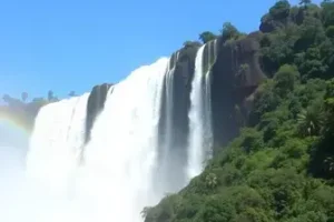 detran foz do iguaçu