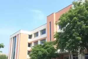 vestibular UFERSA 2025